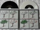 MAD SEASON LOCOMOTIVE - WHITE AND BLACK VERSIONS 45 VINYL LP PEARL JAM