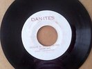 JUNIOR DAN - HOUSE IS NOT A HOME // A DUB IS A DUB /DAN-ITES
