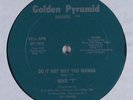 MIKE T Do It Any Way You Wanna GOLDEN PYRAMID 12