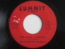 CONSOLIDATED EXPRESS The World’s Burning Summit Garage Psych Fuzz RARE 45 HEAR