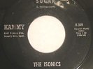 THE ISONICS 