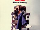 Love Black Beauty Vinyl Record Arthur Lee The Doors Jim Morrison Jac Holzman
