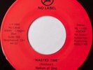 NATION OF ONE: WASTED TIME   CLEVELAND ohio rare NO LABEL 45 powerpop NEW WAVE