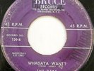 THE DEBS 45 Whadaya Want? / Shoo Doo-be Doo BRUCE White DOO WOP #T313