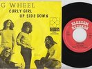BIG WHEEL * 1969 Dutch Heavy FREAKBEAT PSYCH PROG 45 * Listen