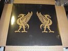 LP:  JOEY CAPE & JON SNODGRASS - Liverbirds SEALED GOLD BLACK VINYL Ltd 150