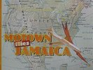 VARIOUS - Motown Flies Jamaica Vol 1 - LP