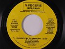rare Old School Rap Hip-Hop 45 DIVINE SOUNDS changes SPECIFIC Hear