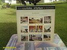Reiner / Respigh / Pines of Rome LSC-2436 1/S 1/S