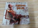 MEKONG  DELTA  KALEIDOSCOPE      NOTVD    1 LP