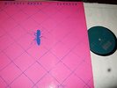 MICHAEL NAURA : VANESSA LP 1975 ECM 1053 ST GERMANY