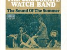 CHOCOLATE WATCH BAND 