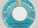 NORTHERN SOUL / RARE SOUL -- DAVID SHEFFIELD  -- YOU'RE WRONG YOUR WRONG