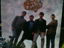 The PLASTIC CLOUD same reissue LP still sealed Allied RI Lion Records FOC NEW