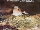 Long Live The Evolution-LP-Finch-AC/DC-Radio Birdman-Feather-Jeff St. John-Ariel