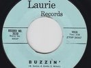 KATHY ZEE Buzzin' 45 on Laurie rockabilly teen HEAR