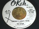 GREAT NORTHERN SOUL 45 TED TAYLOR 