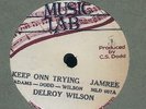 US 10inch - Delroy WIlson - keep on trying - Winston Francis - quiet place