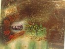 PINK FLOYD A Saucerful of Secrets Tower RARE Orange Label ST 5131 VG