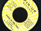 1238 PALEMINA-LIVING ON SKY JUICE-CEDRIC IM BROOKS-PIN UP 1977-REGGAE 45 7
