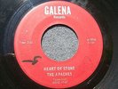 1966 GARAGE PUNK--APACHES--PLEASE UNDERSTND / HEART OF STONE--GALENA 131