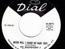 THE MAGNIFICENT 7 Never Will I DIAL 4074 PROMO 45 NORTHERN SOUL R&B