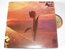 PRETTY THINGS org us lp PARACHUTE rare earth