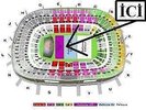 1 place pelouse OR  - THE ROLLING STONES CONCERT STADE DE FRANCE