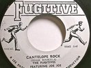 JOE JOE BENNETT & THE FUGITIVES-THE LECTURE/CANTELOPE ROCK-FUGITIVE-1967-7