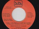 70s Soul Funk 45 - Brothers By Choice - Baby You Really Got Me Going - ALA - mp3