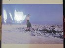 PINBACK Blue Screen Life ACE FU 2xLP GATEFOLD ORIGINAL classic indie rock