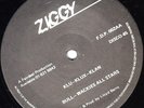 BULL WACKIES ALL STARS/ZIGGY 12