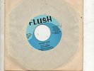 BLUE AMBER WE GOT LOVE  RARE SIXTIES  GARAGE PSYCH 45   FLUSH LABEL