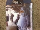 The Wonder Years Local Man Ruins Everything Vinyl 7 Title Fight Neck Deep