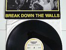 Youth Of Today Break Down The Walls Wishingwell Records SxE Chain Of Strength