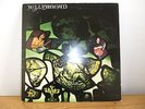 Jellybread Back To Begin Again Very Rare 1972 Blue Horizon Original Blues LP VG.