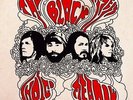 THE BLACK ANGELS - INDIGO MEADOW [LP 2013]
