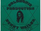 BUNNY WAILER Rise And Shine RARE roots dub UK 45 Riding with ps ROUGH TRADE HEAR
