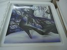 MYSSTRESS-SAME, PRIVATE METAL,NWOBHM,MESSIAH,HAMMER WITCH,SALEM'S WYCH