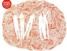 Burn Your Fire For No Witness - Angel Olsen (2014, Vinyl NEW)