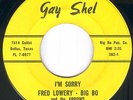 FRED LOWERY- BIG BO AND THE ARROWS 