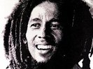 BOB MARLEY & THE WAILERS KAYA LP Vinyl Album RECORD NEW