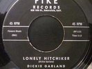 Dickie Garland Please Dont Pretend 45 on Pike Country Bop mp3
