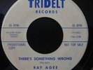 Ray Agee Theres Something Wrong / The Wobble-Oo 45 Rare Northern Soul Blues mp3