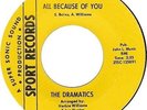 Dramatics - All Because Of You - Sport 101  Near Mint  Northern Soul Classic