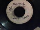 HOPETON LEWIS - THIS MUSIC GOT SOUL