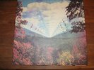 TAME IMPALA  INNERSPEAKER LP X 2  MINT