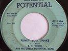 ET WHITE & GREAT POTENTIAL BAND   RARE DC FUNK   FUNKY SOUL SHAKE soul 45