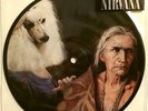 Nirvana/Jesus Lizard: Oh, the Guilt/Puss | rare OZ picture disc 1992 w/sticker