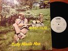 RARE BLUES / FOLK LP Rabbit Muse - Sixty Minute Man   Outlet